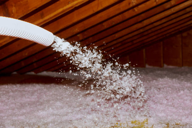 Best Insulation Installation Services in West Hamburg, PA